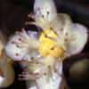 sweeneyp0708